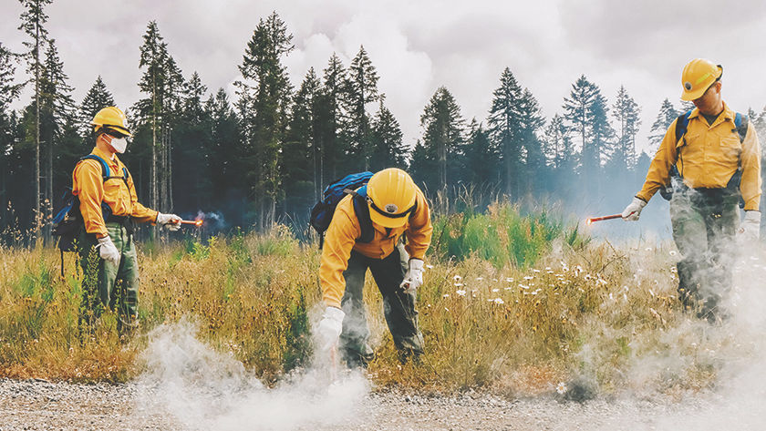 Firefighters